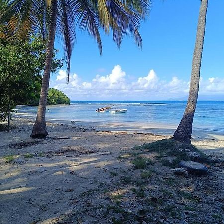 T1 Bis A Proximite De La Plage Le Gosier  Exterior photo